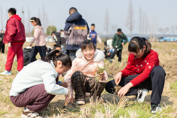 4趣味農(nóng)耕：挖野菜、放風(fēng)箏  (6)_副本.jpg